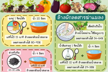 ดินดี ผักงาม อาหารอร่อย